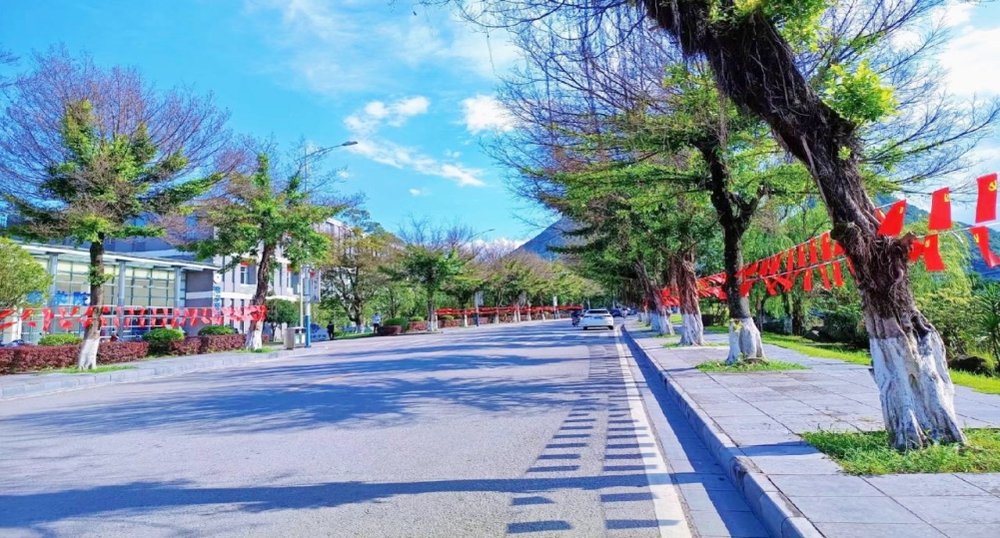 校园全景
